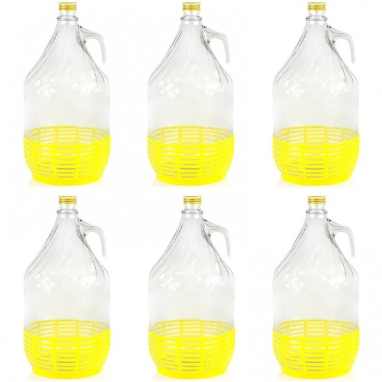 6 Stück 5L Weinballon mit Schraubverschluß  und Kunststoffkorb