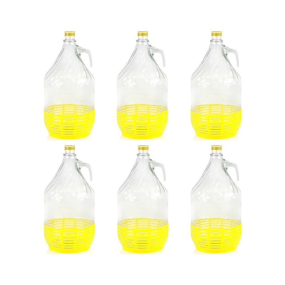 6 Stück 5L Weinballon mit Schraubverschluß  und Kunststoffkorb